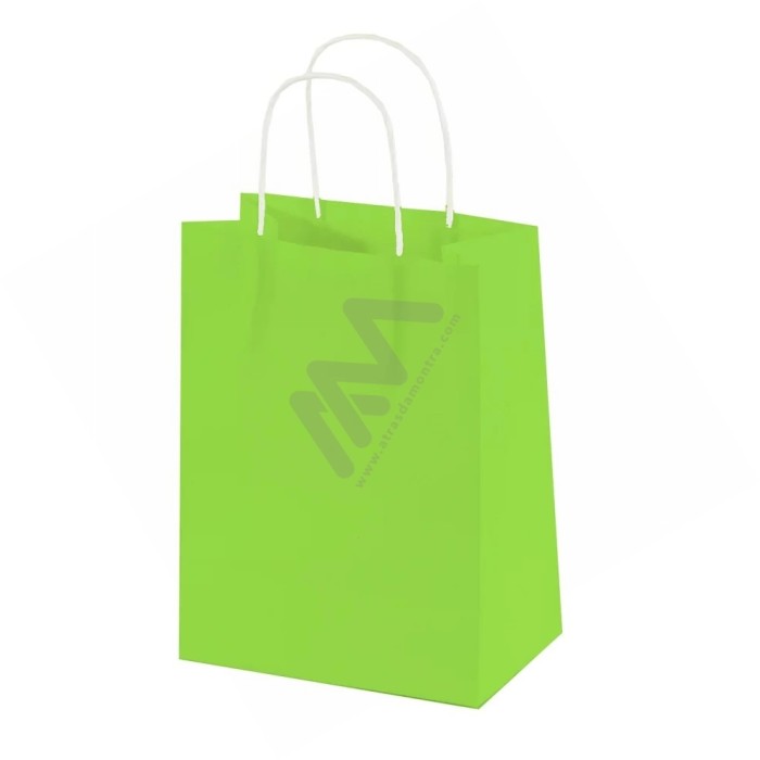 Light Green Twisted Handle Paper Bags 14x18x8