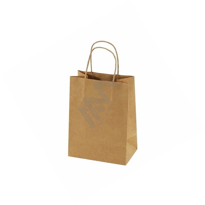 Sacos de Papel Asa Torcida Kraft 14x18x8