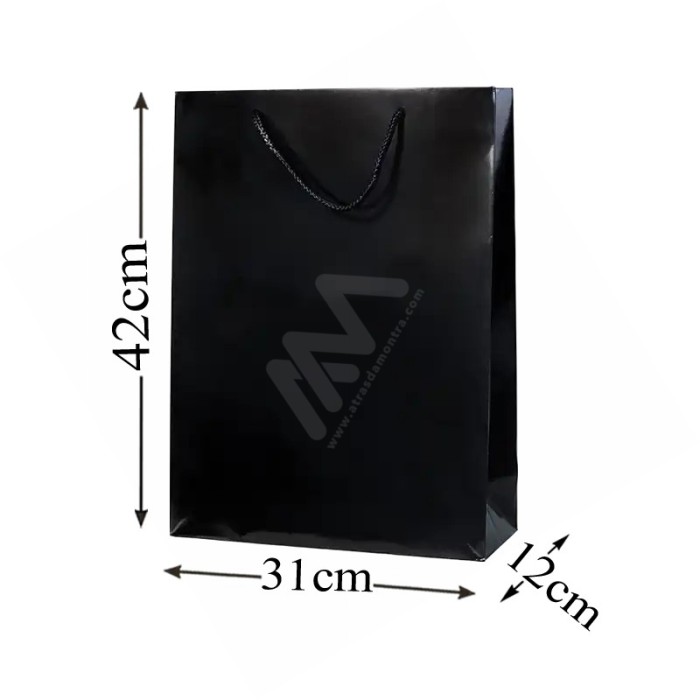 Black Rope Handle Paper Bag 160 g/m² 31x42x12 - 12 UN