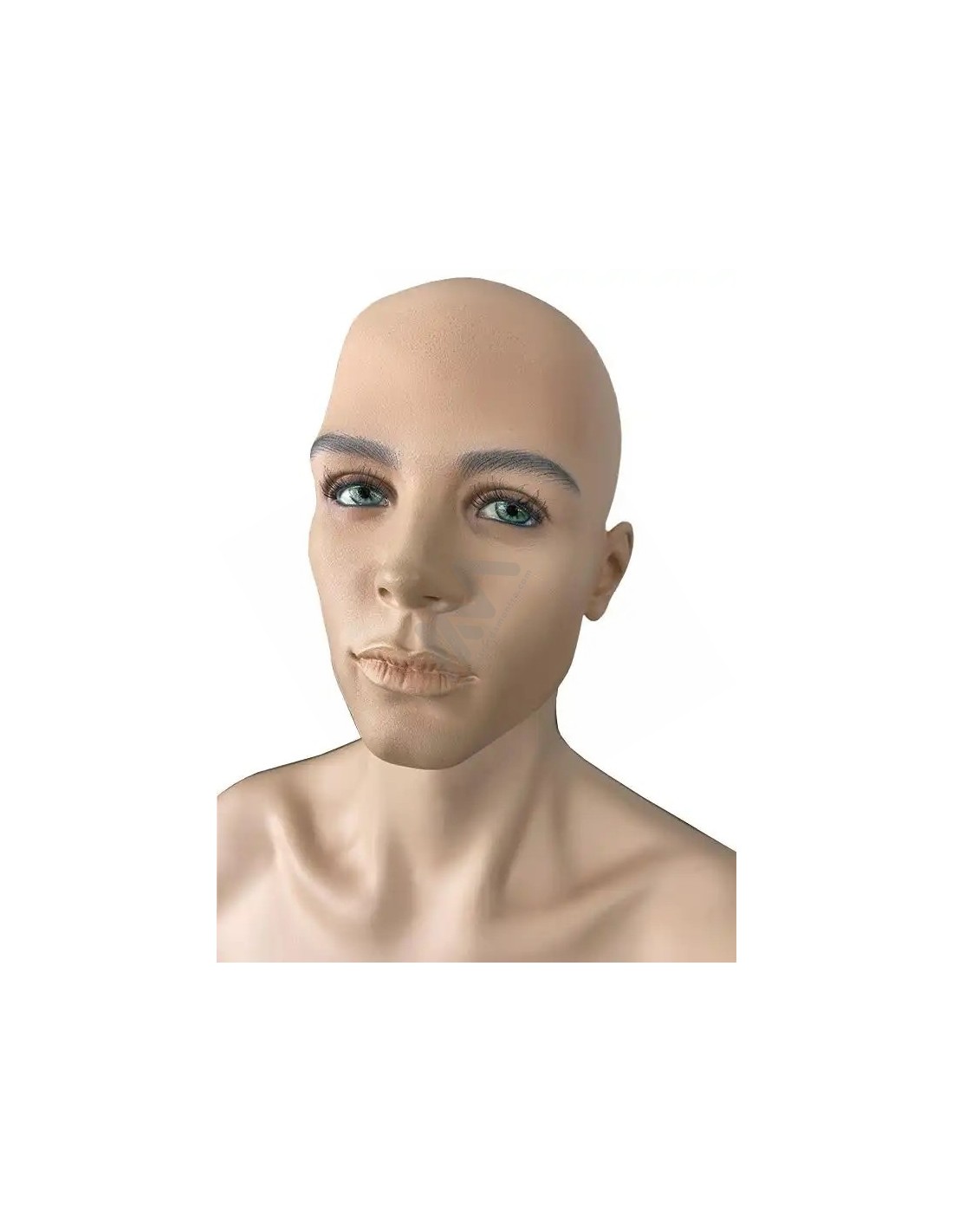 Men Mannequin with head