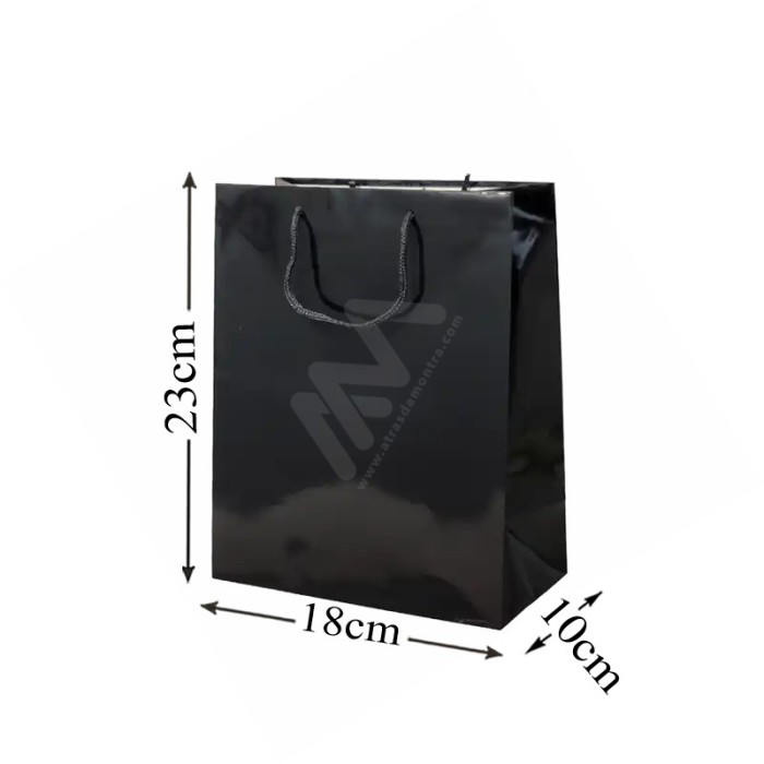 Black Rope Handle Paper Bag 160 g/m² 18x23x10 - 12 units