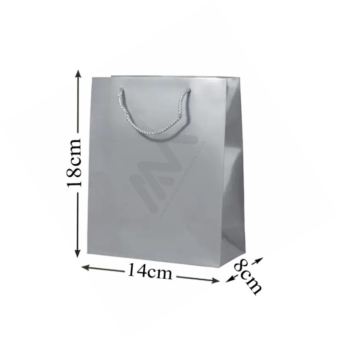 Silver Rope Handle Paper Bag 160 g/m² 18x23x10 - 12 units