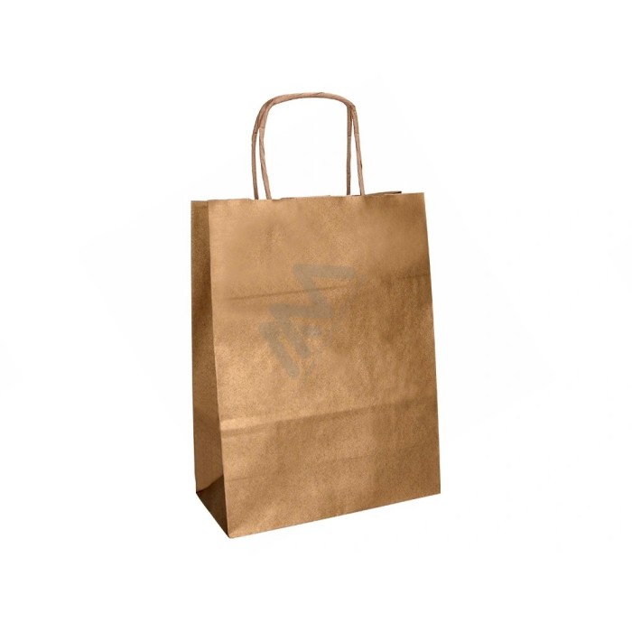 Kraft Twisted Handle Paper Bags 22x27x10