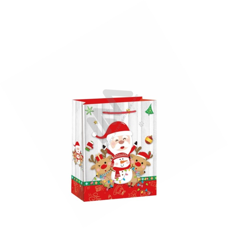 210 g/m² Christmas Rope Handle Paper Bags 18x23x10